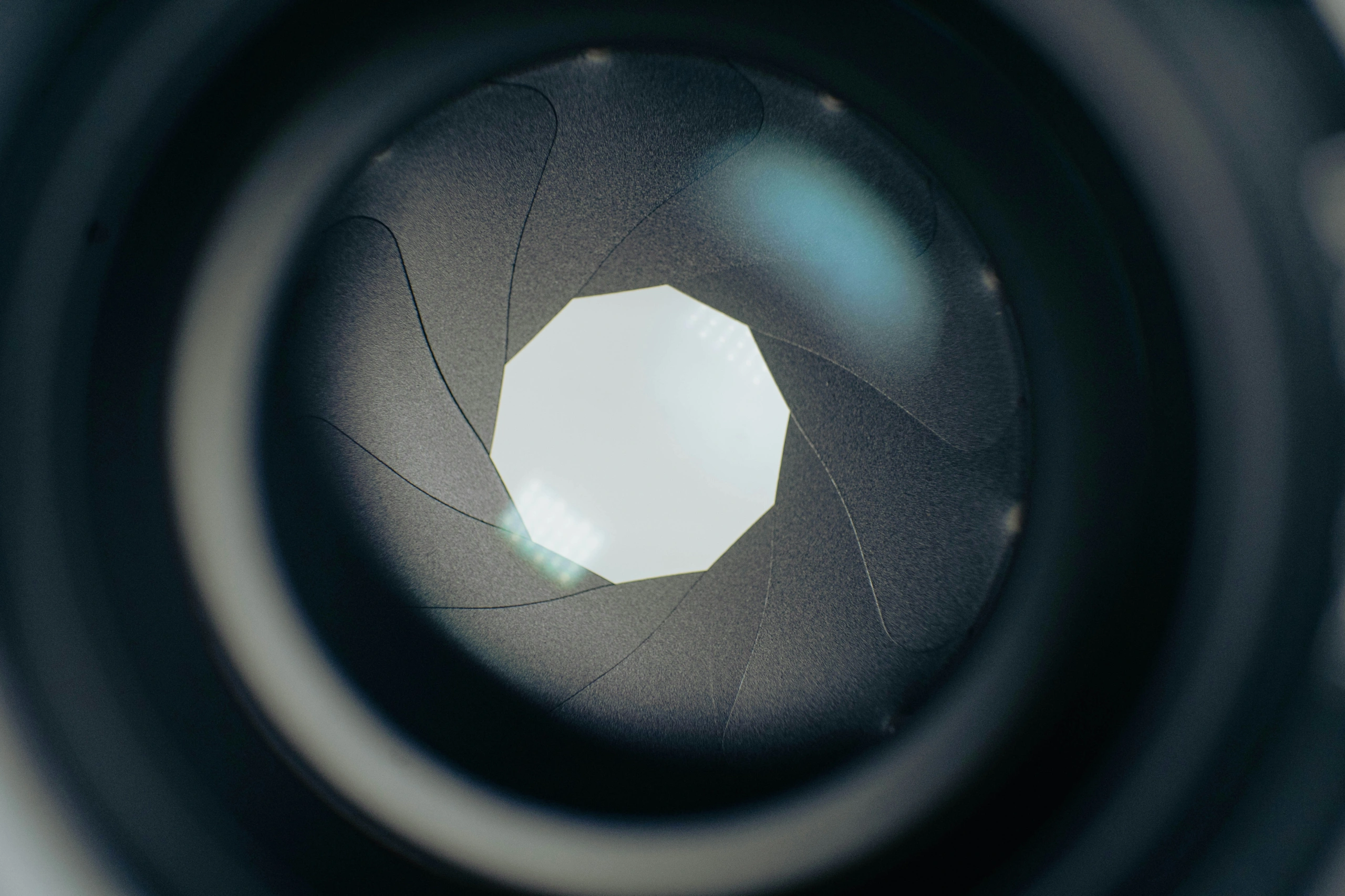 A photographic shot