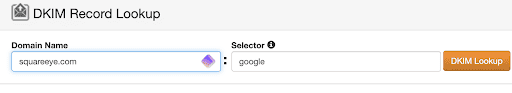 DKIM record lookup